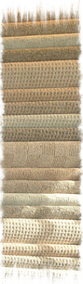 textured neutrals