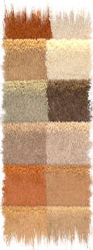 carpet samples